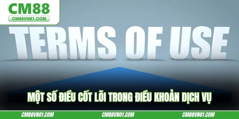 Một số điều cốt lõi trong điều khoản dịch vụ